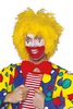 Clown - Klaun - Pajac - Zirkus - Circus Faschingsperücke