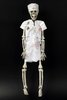 Zombie Faschingsfigur Skelett